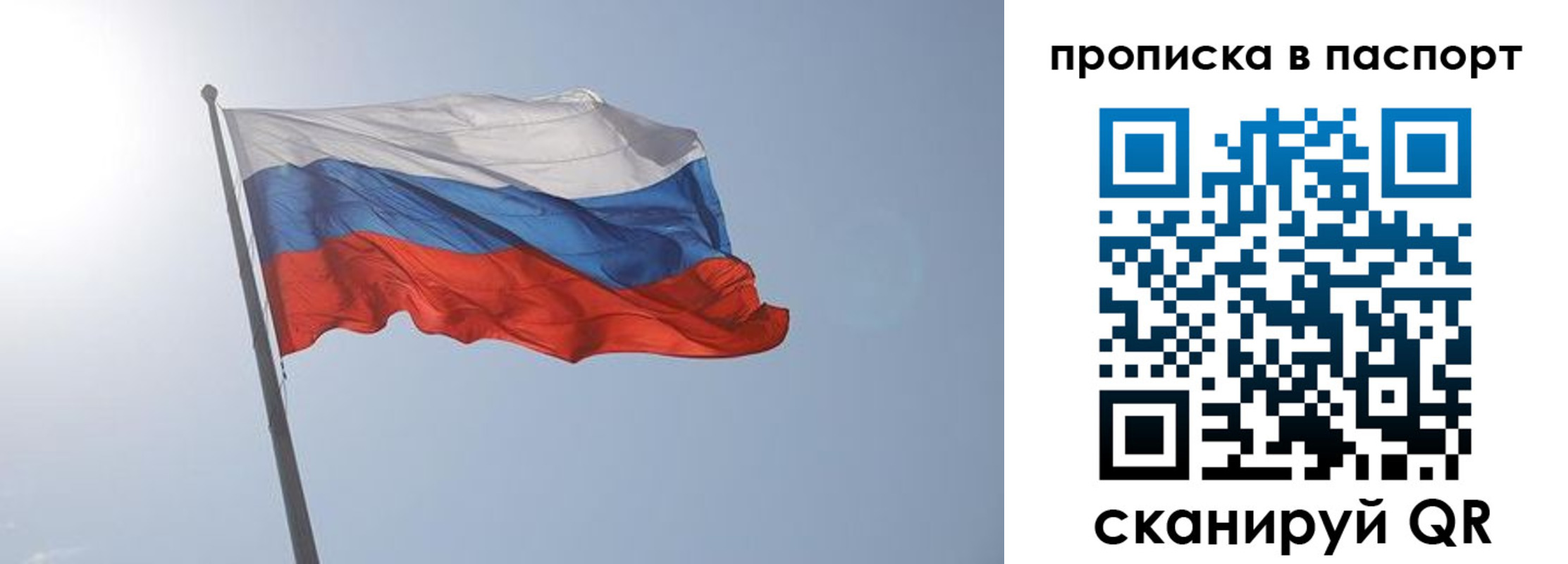 прописка гарантия в Смоленске